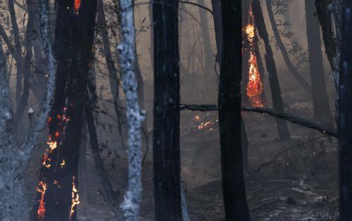 Μεγάλη πυρκαγιά στην Καλιφόρνια ανάγκασε χιλιάδες να απομακρυνθούν από τα σπίτια τους