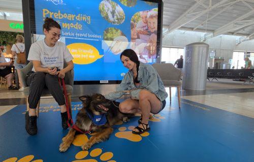 Larnaka Havaalanında eğitimli köpekler stresli yolcuları rahatlatıyor