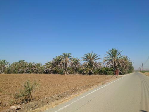 Avlona community leader reports buffer zone violation, UNFICYP was on site, Siddique said