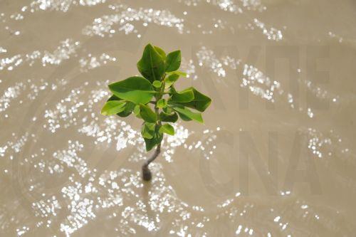 Green Agenda Summit: Παρεμβάσεις αξιωματούχων για υδατικό, κλιματική αλλαγή και καθαρές μεταφορές