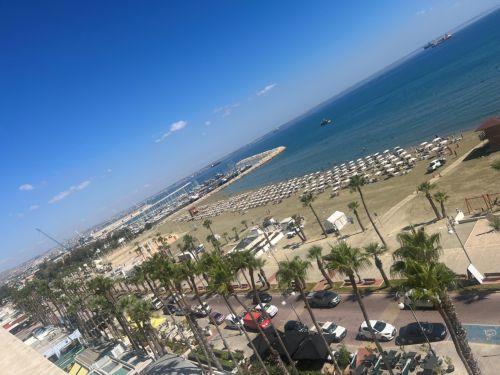 Συνολικά 110 φοινικόδεντρα φυτεύτηκαν στον παραλιακό πεζόδρομο Βορόκληνης