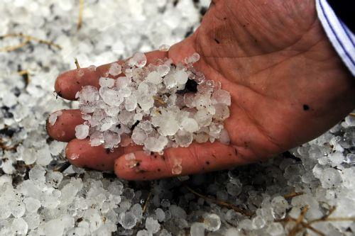 Αιτήσεις για ζημιές από χαλάζι στις επαρχίες Λάρνακας – Αμμοχώστου δέχεται το Τμήμα Γεωργίας