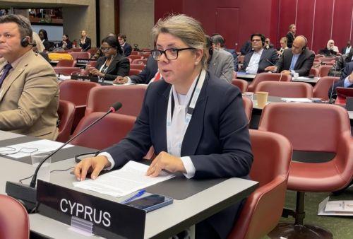 Απελευθέρωση Ουκρανών αιχμαλώτων δημοσιογράφων από Ρωσία ζήτησε η Χ. Ερωτοκρίτου