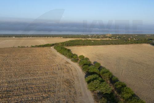 Πάνω από 5.200 παράτυποι μετανάστες τέθηκαν υπό κράτηση σε μια ημέρα στο Μεξικό