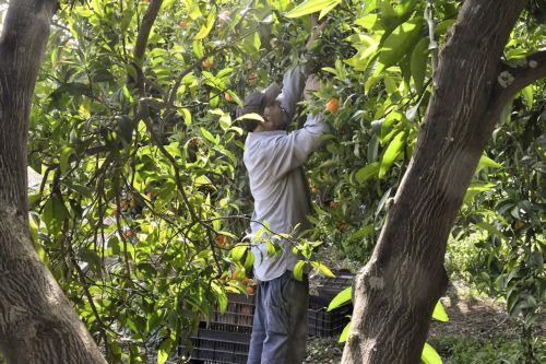 Το Υπουργικό ενέκρινε σχέδιο ενίσχυσης εγκλωβισμένων κι επανεγκατασταθέντων γεωργών