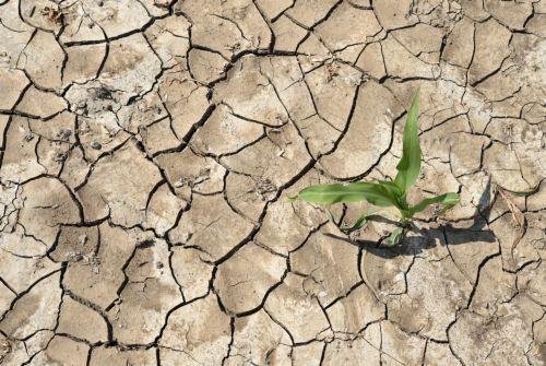 AKTI participates in bi-communal project for green waste in agriculture