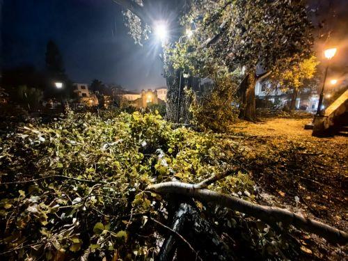 Storm ELENA continues to affect Cyprus until Friday