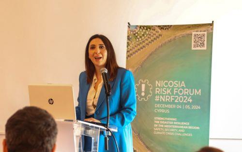 Raouna: Preparations for EU Cyprus Presidency progressing at a fast pace