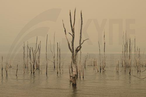 Κορυφώνεται το κύμα καύσωνα στην Αυστραλία με θερμοκρασίες μέχρι 45 βαθμούς