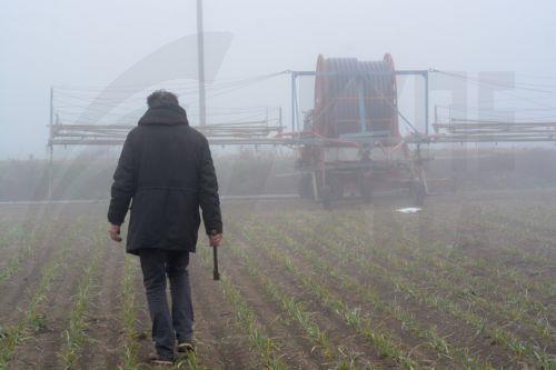 Price index of the means of agricultural production down 2.6% in Q1, 2026