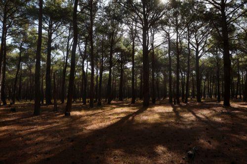 Πραγματοποιήθηκε το 1ο Οικολογικό Συνέδριο Δήμου Πολεμιδιών