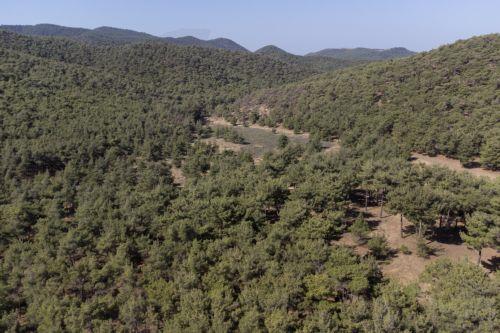 «Κόκκινος Συναγερμός» για δασικές πυρκαγιές την Πέμπτη