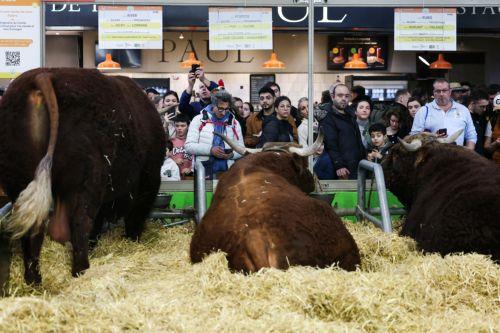 Αύξηση στις τιμές παραγωγού στη γεωργία, μείωση κόστους παραγωγής σε Κύπρο και ΕΕ