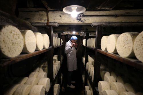 Η Κίνα παρατείνει την έρευνά της για επιδοτήσεις ΕΕ στα γαλακτοκομικά προϊόντα