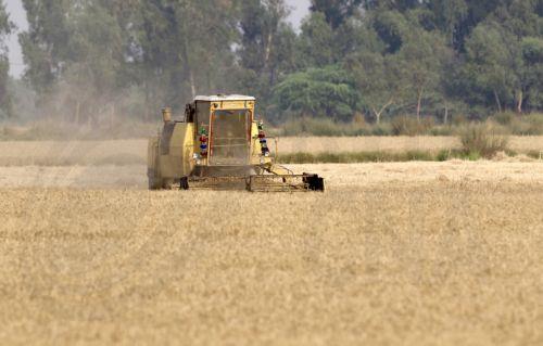 Μειωμένες θα είναι οι νέες εξαγωγές σιταριού Ουκρανίας, λέει εταιρεία ανάλυσης