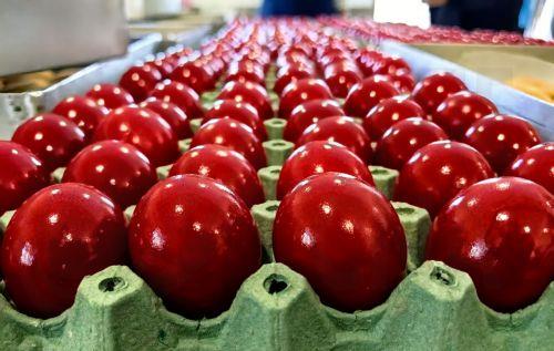 Εισφορές σε ΣΠΑΒΟ, Στέγη Ηλικιωμένων Αγλαντζιάς από Σύνδεσμο Φίλων ΙΚυ ενόψει Πάσχα