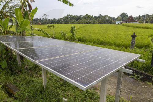 To Frederick συγχαίρει μαθητές που ήρθαν 3οι σε διεθνή διαγωνισμό για βιωσιμότητα