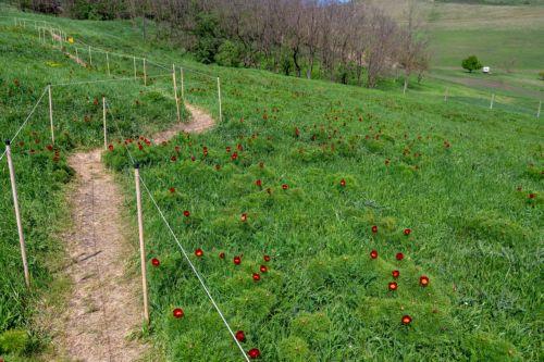 Φωτογραφία επιστημονικής έρευνας στον Χελμό διακρίθηκε σε διαγωνισμό του Nature