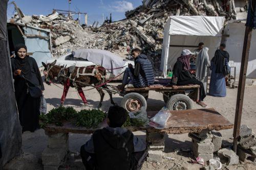 Δεν μπορεί να γίνουν ανεκτά δυσανόλογη βία και θάνατοι αμάχων στη Γάζα, λέει η Κάλας