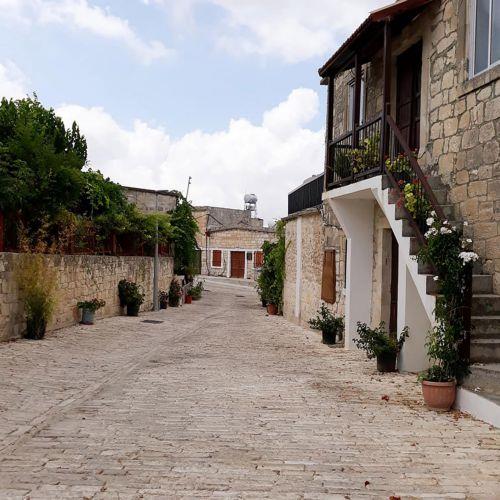 Χρηματοδότηση για δενδροφύτευση στη Λάσα από Γραφείο Επιτρόπου Περιβάλλοντος