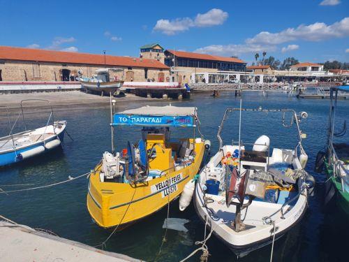 Government action insufficient to address challenges, 96% of fishers in Cyprus say