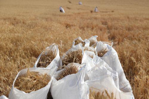 Αναμένονται πολύ ψηλότεροι δασμοί ΕΕ σε εισαγωγές από Ουκρανία, σύμφωνα με FT