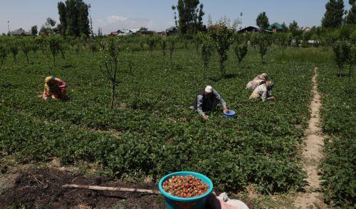 Κοινό έγγραφο Ελλάδας - Ιταλίας για ισχυρή ΚΑΠ υποστήριξε η Κύπρος