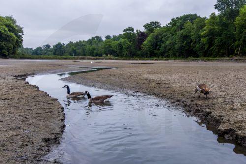 Νέες πρωτοβουλίες της ΕΕ για αντιμετώπιση της ερημοποίησης και της ξηρασίας