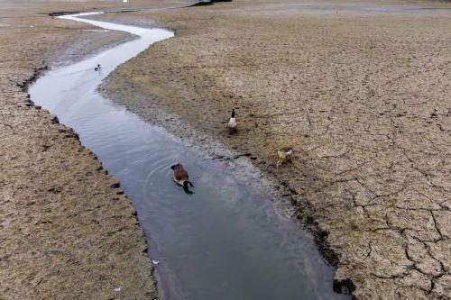 Σε συμμετοχή όλων για επίλυση του υδατικού καλεί η Μ. Παναγιώτου
