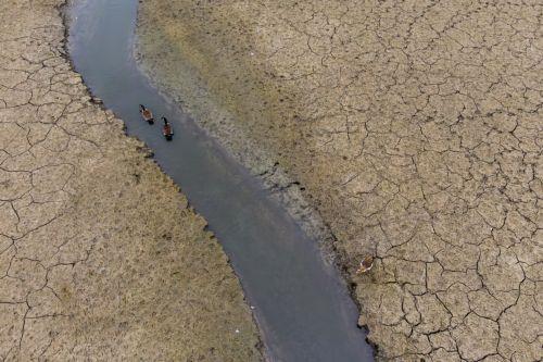 Η βόρεια Ευρώπη πλήττεται από πρωτοφανή ξηρασία