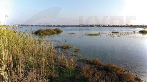 Έκκληση προστασίας λίμνης Παραλιμνίου απευθύνουν Τμ. Περιβάλλοντος και Υπ. Θήρας