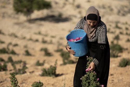 Εγκρίθηκε επίσημα η άρση των οικονομικών κυρώσεων κατά της Συρίας από την ΕΕ