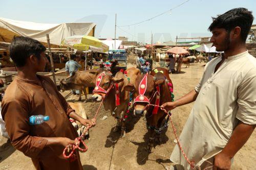 Δεκάδες νεκροί στο Πακιστάν εξαιτίας καταιγίδων