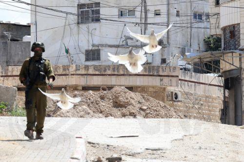 Καταδικάζει απαγόρευση εισόδου αντιπροσωπείας στη Ραμάλα η Πρεσβεία Παλαιστίνης