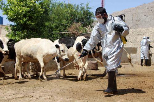 Κατασκευή δεξαμενών σε Τίμη και Αναρίτα για απολύμανση οχημάτων