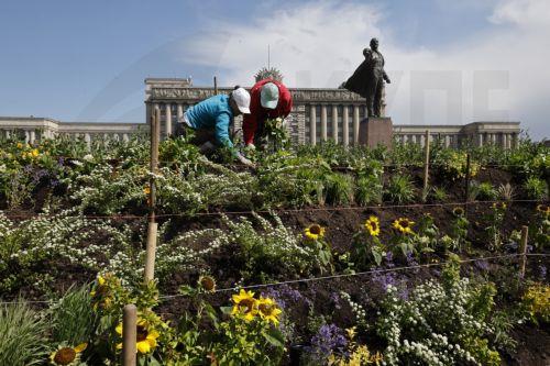 Έκθεση στο Λονδίνο εξετάζει το πάθος του Σέσιλ Μπίτον για κήπους και λουλούδια