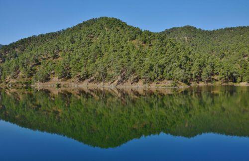 Τα πλαστικά απειλούν την άγρια ζωή λέει το Τμήμα Δασών για Παγκόσμια Ημέρα Περιβάλλοντος