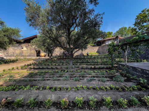 Ουσιαστική η ενίσχυση οικογενειών με παιδιά στην ύπαιθρο, λέει ο ΥΠΕΣ