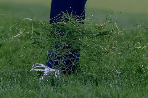 CINEA: Η βιοοικονομία παράγει έως €2,7 τρισ. στην ΕΕ, μπορεί να αυξηθεί κατά 18% ετησίως