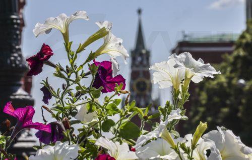 Η Ρωσία καταδικάζει «με αποφασιστικό τρόπο» επιθέσεις ΗΠΑ κατά Ιράν
