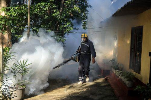 Δεν καταγράφηκαν κρούσματα ιού Chikungunya, λέει το Υπ. Υγείας και συστήνει μέτρα προστασίας