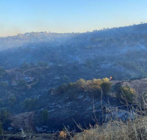 Διαχειρίσιμη η πυρκαγιά στην περιοχή Γαλαταριάς – Πενταλιάς