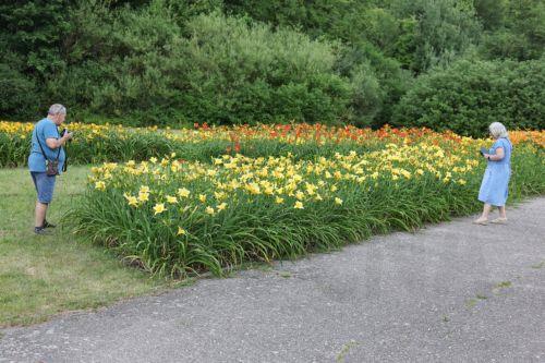 Σχεδόν 200 νέα φυτά και μύκητες, πολλά απειλούμενα, καταγράφηκαν από Βοτανικό Κήπο Λονδίνου