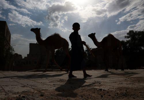 Καμήλες στους δρόμους της Βουδαπέστης για ευαισθητοποίηση για την ξηρασία