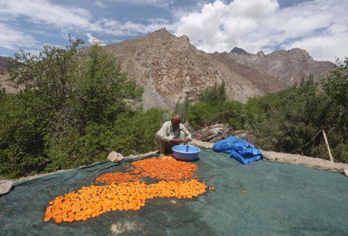 Παράνομη πρεσβεία στην Ινδία παρείχε «υπηρεσίες» σε ανέργους