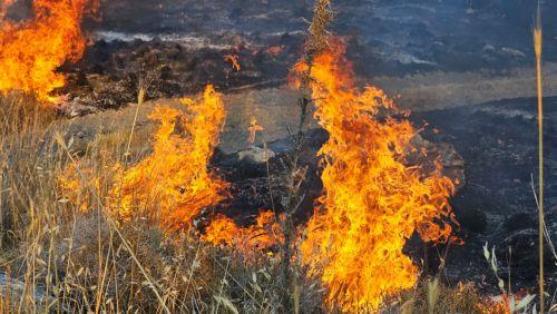 Υπό πλήρη έλεγχο δασική πυρκαγιά στα Πέρα Ορεινής