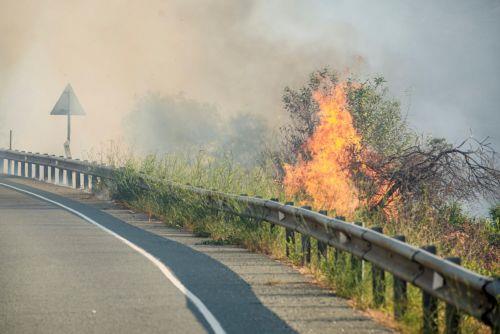 Πυρκαγιά στο Άρσος Λεμεσού, επιχειρούν επίγειες και εναέριες δυνάμεις