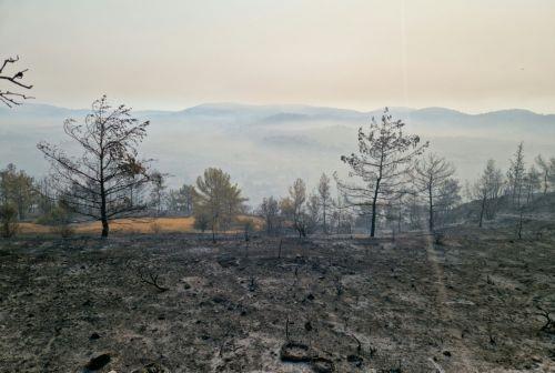 Δύο πυρκαγιές εκδηλώθηκαν στην επαρχία Πάφου χθες