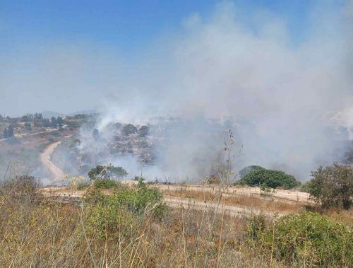 Υπό πλήρη έλεγχο δασική πυρκαγιά στα όρια της κοινότητας Πωμού