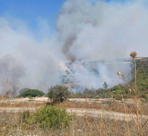 Υπό πλήρη έλεγχο δασική πυρκαγιά στην Αναφωτία
